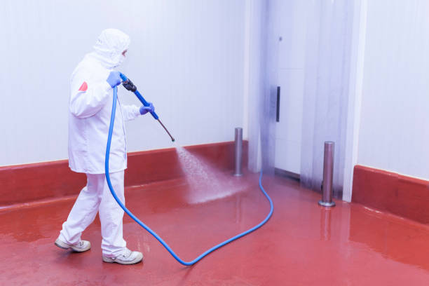 Trusted Trappe, PA Pressure Washing Services Experts
