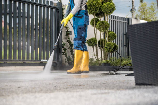 Best Sidewalk and Walkway Cleaning  in Trappe, PA